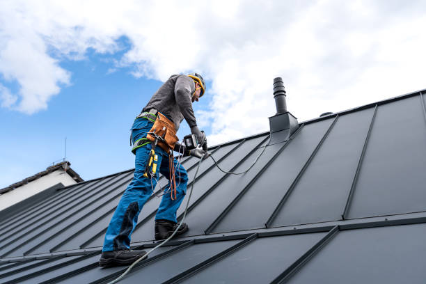 Best Roof Moss and Algae Removal  in Phoenix, OR